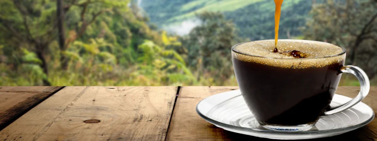 The Lowdown on Low Acid Coffee - Gentle & Flavorful Brews