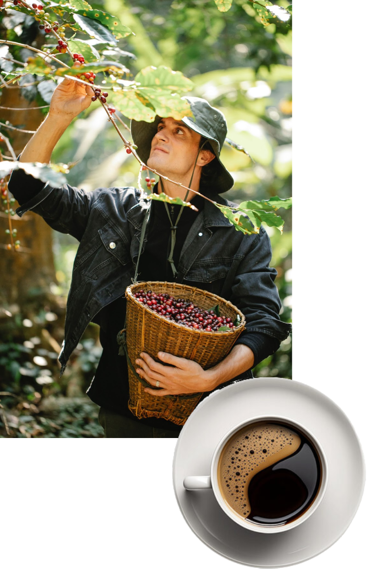 From Passion to Perfection